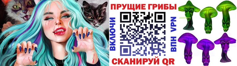 Галлюциногенные грибы Magic Shrooms  omg ссылки  Кировград  продажа наркотиков 